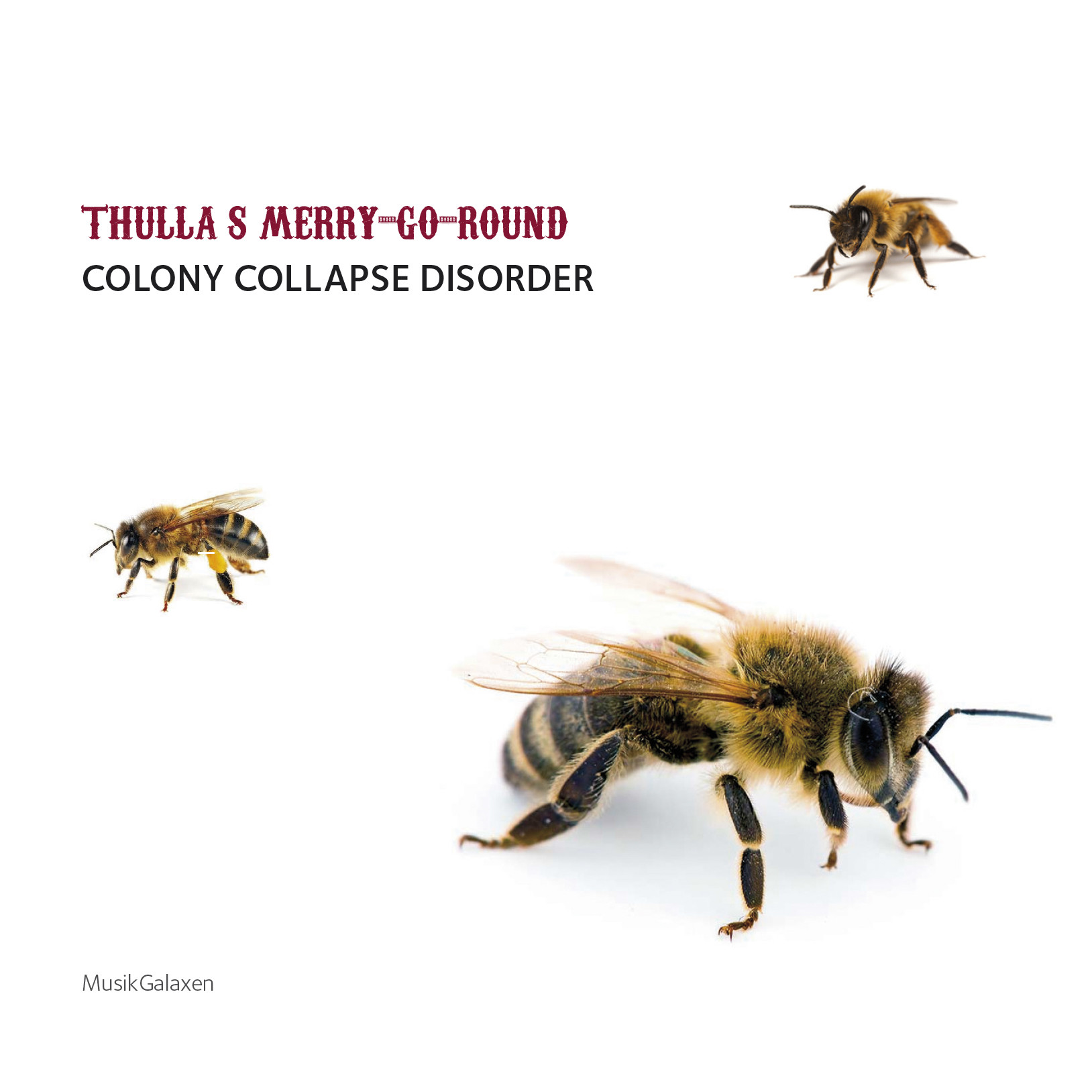 Thulla's Merry-go-round: Colony collapse disorder